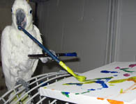 Bobby Painting