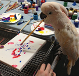 Bongo Bob Painting