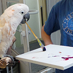 Philippe Painting