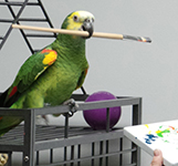 Rascal Painting