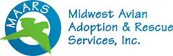 Midwest Avian Adoption & Rescue Services (MAARS) - Pet bird adoption, sanctuary, rescue, foster care, and education services for parrots and other captive exotic 'pet' birds. Based in Minneapolis - St. Paul (Twin Cities) area of Minnesota and serving Midwest