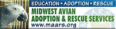 Midwest Avian Adoption & Rescue Services (MAARS) - Pet bird adoption, sanctuary, rescue, foster care, and education services for parrots and other captive exotic 'pet' birds. Based in Minneapolis - St. Paul (Twin Cities) area of Minnesota and serving Midwest