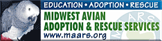 Midwest Avian Adoption & Rescue Services (MAARS) - Pet bird adoption, sanctuary, rescue, foster care, and education services for parrots and other captive exotic 'pet' birds. Based in Minneapolis - St. Paul (Twin Cities) area of Minnesota and serving Midwest