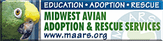 Midwest Avian Adoption & Rescue Services (MAARS) - Pet bird adoption, sanctuary, rescue, foster care, and education services for parrots and other captive exotic 'pet' birds. Based in Minneapolis - St. Paul (Twin Cities) area of Minnesota and serving Midwest