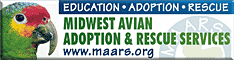 Midwest Avian Adoption & Rescue Services (MAARS) - Pet bird adoption, sanctuary, rescue, foster care, and education services for parrots and other captive exotic 'pet' birds. Based in Minneapolis - St. Paul (Twin Cities) area of Minnesota and serving Midwest