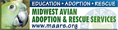 Midwest Avian Adoption & Rescue Services (MAARS) - Pet bird adoption, sanctuary, rescue, foster care, and education services for parrots and other captive exotic 'pet' birds. Based in Minneapolis - St. Paul (Twin Cities) area of Minnesota and serving Midwest