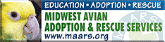 Midwest Avian Adoption & Rescue Services (MAARS) - Pet bird adoption, sanctuary, rescue, foster care, and education services for parrots and other captive exotic 'pet' birds. Based in Minneapolis - St. Paul (Twin Cities) area of Minnesota and serving Midwest