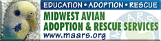 Midwest Avian Adoption & Rescue Services (MAARS) - Pet bird adoption, sanctuary, rescue, foster care, and education services for parrots and other captive exotic 'pet' birds. Based in Minneapolis - St. Paul (Twin Cities) area of Minnesota and serving Midwest