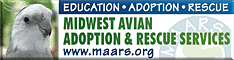 Midwest Avian Adoption & Rescue Services (MAARS) - Pet bird adoption, sanctuary, rescue, foster care, and education services for parrots and other captive exotic 'pet' birds. Based in Minneapolis - St. Paul (Twin Cities) area of Minnesota and serving Midwest