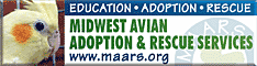 Midwest Avian Adoption & Rescue Services (MAARS) - Pet bird adoption, sanctuary, rescue, foster care, and education services for parrots and other captive exotic 'pet' birds. Based in Minneapolis - St. Paul (Twin Cities) area of Minnesota and serving Midwest