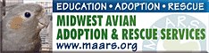 Midwest Avian Adoption & Rescue Services (MAARS) - Pet bird adoption, sanctuary, rescue, foster care, and education services for parrots and other captive exotic 'pet' birds. Based in Minneapolis - St. Paul (Twin Cities) area of Minnesota and serving Midwest