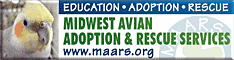 Midwest Avian Adoption & Rescue Services (MAARS) - Pet bird adoption, sanctuary, rescue, foster care, and education services for parrots and other captive exotic 'pet' birds. Based in Minneapolis - St. Paul (Twin Cities) area of Minnesota and serving Midwest