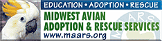 Midwest Avian Adoption & Rescue Services (MAARS) - Pet bird adoption, sanctuary, rescue, foster care, and education services for parrots and other captive exotic 'pet' birds. Based in Minneapolis - St. Paul (Twin Cities) area of Minnesota and serving Midwest