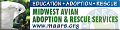 Midwest Avian Adoption & Rescue Services (MAARS) - Pet bird adoption, sanctuary, rescue, foster care, and education services for parrots and other captive exotic 'pet' birds. Based in Minneapolis - St. Paul (Twin Cities) area of Minnesota and serving Midwest