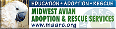 Midwest Avian Adoption & Rescue Services (MAARS) - Pet bird adoption, sanctuary, rescue, foster care, and education services for parrots and other captive exotic 'pet' birds. Based in Minneapolis - St. Paul (Twin Cities) area of Minnesota and serving Midwest