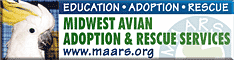 Midwest Avian Adoption & Rescue Services (MAARS) - Pet bird adoption, sanctuary, rescue, foster care, and education services for parrots and other captive exotic 'pet' birds. Based in Minneapolis - St. Paul (Twin Cities) area of Minnesota and serving Midwest