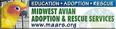 Midwest Avian Adoption & Rescue Services (MAARS) - Pet bird adoption, sanctuary, rescue, foster care, and education services for parrots and other captive exotic 'pet' birds. Based in Minneapolis - St. Paul (Twin Cities) area of Minnesota and serving Midwest