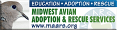 Midwest Avian Adoption & Rescue Services (MAARS) - Pet bird adoption, sanctuary, rescue, foster care, and education services for parrots and other captive exotic 'pet' birds. Based in Minneapolis - St. Paul (Twin Cities) area of Minnesota and serving Midwest