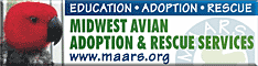 Midwest Avian Adoption & Rescue Services (MAARS) - Pet bird adoption, sanctuary, rescue, foster care, and education services for parrots and other captive exotic 'pet' birds. Based in Minneapolis - St. Paul (Twin Cities) area of Minnesota and serving Midwest