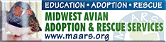 Midwest Avian Adoption & Rescue Services (MAARS) - Pet bird adoption, sanctuary, rescue, foster care, and education services for parrots and other captive exotic 'pet' birds. Based in Minneapolis - St. Paul (Twin Cities) area of Minnesota and serving Midwest