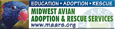 Midwest Avian Adoption & Rescue Services (MAARS) - Pet bird adoption, sanctuary, rescue, foster care, and education services for parrots and other captive exotic 'pet' birds. Based in Minneapolis - St. Paul (Twin Cities) area of Minnesota and serving Midwest