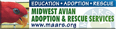 Midwest Avian Adoption & Rescue Services (MAARS) - Pet bird adoption, sanctuary, rescue, foster care, and education services for parrots and other captive exotic 'pet' birds. Based in Minneapolis - St. Paul (Twin Cities) area of Minnesota and serving Midwest