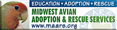 Midwest Avian Adoption & Rescue Services (MAARS) - Pet bird adoption, sanctuary, rescue, foster care, and education services for parrots and other captive exotic 'pet' birds. Based in Minneapolis - St. Paul (Twin Cities) area of Minnesota and serving Midwest