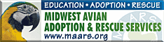 Midwest Avian Adoption & Rescue Services (MAARS) - Pet bird adoption, sanctuary, rescue, foster care, and education services for parrots and other captive exotic 'pet' birds. Based in Minneapolis - St. Paul (Twin Cities) area of Minnesota and serving Midwest