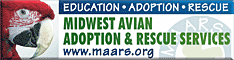 Midwest Avian Adoption & Rescue Services (MAARS) - Pet bird adoption, sanctuary, rescue, foster care, and education services for parrots and other captive exotic 'pet' birds. Based in Minneapolis - St. Paul (Twin Cities) area of Minnesota and serving Midwest