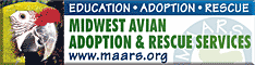 Midwest Avian Adoption & Rescue Services (MAARS) - Pet bird adoption, sanctuary, rescue, foster care, and education services for parrots and other captive exotic 'pet' birds. Based in Minneapolis - St. Paul (Twin Cities) area of Minnesota and serving Midwest