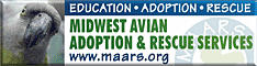 Midwest Avian Adoption & Rescue Services (MAARS) - Pet bird adoption, sanctuary, rescue, foster care, and education services for parrots and other captive exotic 'pet' birds. Based in Minneapolis - St. Paul (Twin Cities) area of Minnesota and serving Midwest