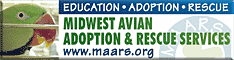 Midwest Avian Adoption & Rescue Services (MAARS) - Pet bird adoption, sanctuary, rescue, foster care, and education services for parrots and other captive exotic 'pet' birds. Based in Minneapolis - St. Paul (Twin Cities) area of Minnesota and serving Midwest