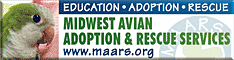 Midwest Avian Adoption & Rescue Services (MAARS) - Pet bird adoption, sanctuary, rescue, foster care, and education services for parrots and other captive exotic 'pet' birds. Based in Minneapolis - St. Paul (Twin Cities) area of Minnesota and serving Midwest