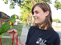 MAARS strongly urges all avian guardians to use carriers or a harness whenever a bird is taken outdoors -- even if you think the bird cannot or will not fly away!